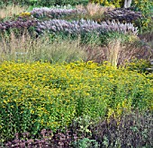 BORDERS IN AUTUMN, ORNAMENTAL GRASSES AND SEEDHEADS AT TRENTHAM GARDENS DESIGNED BY PIET OUDOLF