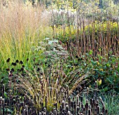 BORDERS IN AUTUMN, ORNAMENTAL GRASSES AND SEEDHEADS AT TRENTHAM GARDENS DESIGNED BY PIET OUDOLF