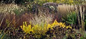 BORDERS IN AUTUMN, GRASSES AND SEEDHEADS AT TRENTHAM GARDENS STAFFORDSHIRE IN A GARDEN DESIGNED BY PIET OUDOLF