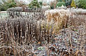 FROSTED BORDERS OF HEBACEOUS PERENNIALS AND ORNAMENTAL GRASSES DESIGNED BY PIETER OUDOLF AT TRENTHAM GARDENS