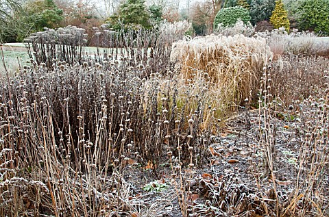 FROSTED_BORDERS_OF_HEBACEOUS_PERENNIALS_AND_ORNAMENTAL_GRASSES_DESIGNED_BY_PIETER_OUDOLF_AT_TRENTHAM