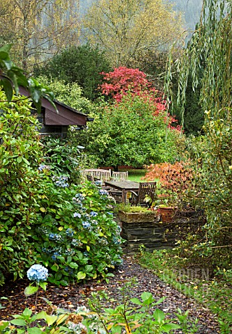 COLOUFUL_GARDEN_WITH_A_WIDE_VARIETY_OF_MATURE_TREES_AND_SHRUBS