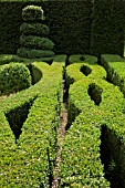 BUXUS SEMPERVIRENS TOPIARY IN THE KNOT GARDEN AT WILKINS PLECK