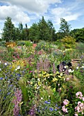 BORDER OF MIXED SUMMER FLOWERING PERENNIALS  AT WILKINS PLECK