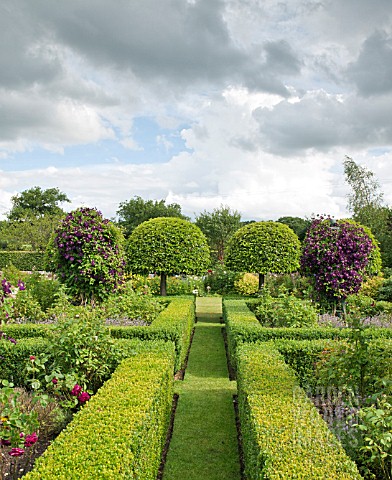 TOPIARY_BUXUS_AND_PRUNUS_LUSITANICA_WITH_CLEMATIS_JACKMANII_AT_WILKINS_PLECK