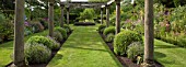 TIMBER LOGGIA UNDER PLANTED WITH BOX BALLS AND LAVANDULA AT WILKINS PLECK