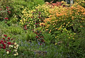 DELL WITH STREAM WATERFALL AND ROCK GARDEN,  RHODODENDRONS AND AZALEAS