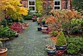 AUTUMN GARDEN