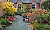 AUTUMN GARDEN