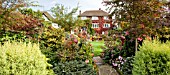 SHRUBS GROWN FOR THEIR FOLIAGE IN AUTUMN AT FOUR SEASONS GARDEN