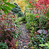 LEAF CARPETED PATH IN JAPANESE GARDEN AT FOUR SEASONS GARDEN