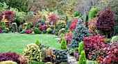 AUTUMN GARDEN AROUND PATIO AND LAWN AT FOUR SEASONS GARDEN