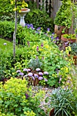 ALCHEMILLA MOLLIS AND SCABIOUS AND GERANIUM MAGNIFICUM AT HIGH MEADOW GARDEN