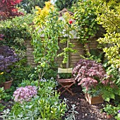 SHADY CORNER HIGH MEADOW GARDEN WITH MATURE TREES AND SHRUBS