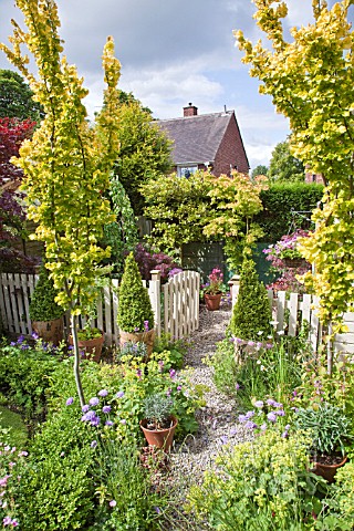 HIGH_MEADOW_MATURE_GARDEN_WITH_TWO_ULMUS_WREDEI