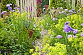 GRAVEL PATH WITH WITH ALCHEMILLA MOLLIS AND SCABIOUS AT HIGH MEADOW GARDEN