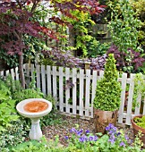 BIRD BATH, TREES AND SHRUBS AT HIGH MEADOW GARDEN