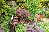 SHADY CORNER WITH SHRUBS, PERENNIALS, MATURE TREES AND TERRACOTTA CONTAINERS AT HIGH MEADOW GARDEN