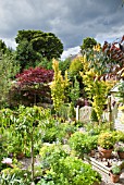 MATURE TREES AND SHRUBS AT HIGH MEADOW GARDEN