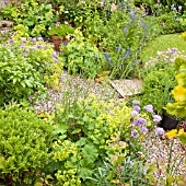 GRAVEL GARDEN AT HIGH MEADOW GARDEN