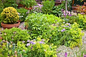 TERRACOTTA IN GRAVEL GARDEN AT HIGH MEADOW GARDEN