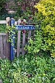 BLUE WOODEN FRONT GATE