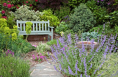 SEATING_AREA_WITH_NEPETA_RACEMOSA_WALKERS_LOW