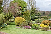 BORDERS OF MATURE SHRUBS AND TREES IN SPRING GARDEN EARLY APRIL CANNOCK WOOD VILLAGE