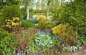 MIXED BORDER WITH TREES SHRUBS AND SPRING FLOWERS AT WILKINS PLECK