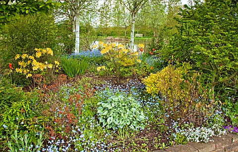 MIXED_BORDER_WITH_TREES_SHRUBS_AND_SPRING_FLOWERS_AT_WILKINS_PLECK