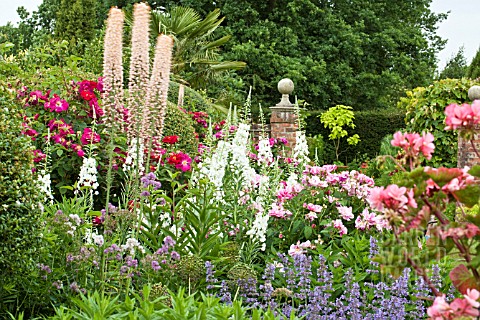 HERBACEOUS_PERENNIALS_IN_SUMMER_AT_WILKINS_PLECK
