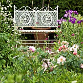 WHITE ORNATE GARDEN BENCH IN JULY AT WILKINS PLECK