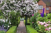 ROSE ARCH PAULS HIMALAYAN MUSK AT WILKINS PLECK