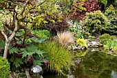 POND AREA AT JOHN MASSEYS GARDEN