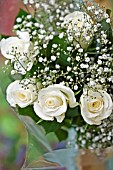 WHITE ROSES AND WHITE GYPSOPHILLA