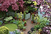 View of Photograhers garden from above in Spring