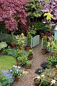 View of Photograhers garden from above in Spring