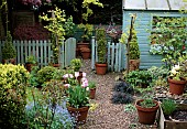 View of Photograhers gravelled garden in Spring