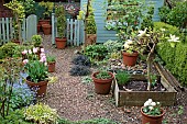 View of Photograhers gravelled garden in Spring