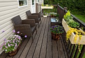 Decking area containers including wood planters holding shrubs perennials and annual flowers