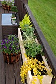 Decking area containers including wood planters holding shrubs perennials and annual flowers