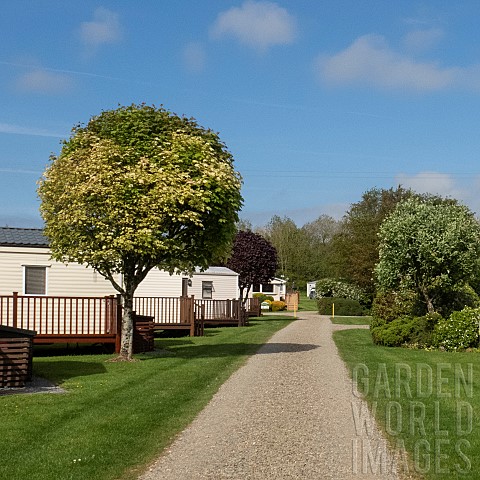 Static_caravan_park_with_exclusively_privately_owned_holiday_homes_set_among_trees_shrubs_and_flower