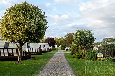 Static_caravan_holiday_park_with_exclusively_privately_owned_holiday_homes_set_among_trees_shrubs_an