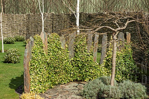 Garden_feature_grey_slate_pillars_with_ivy_growing_up_them