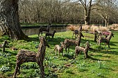Deer figures made from Willow in the grass