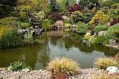 Pond with decking