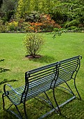 Green metal bench looking out onto garden border of mature shrubs and trees.