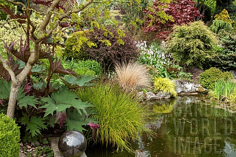 Pond_area_i