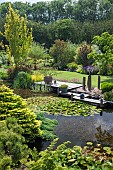 Pond with decking and containers in June Early Summer in John Massey`s Garden Ashwood