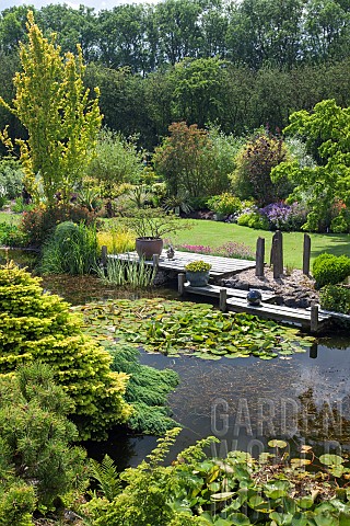 Pond_with_decking_and_containers_in_June_Early_Summer_in_John_Masseys_Garden_Ashwood